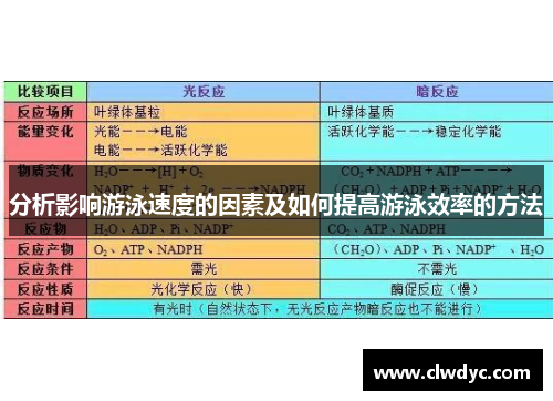 分析影响游泳速度的因素及如何提高游泳效率的方法